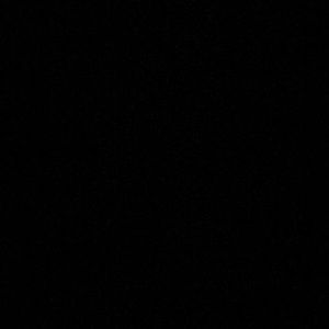 Meet your Posher, Bella